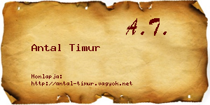 Antal Timur névjegykártya